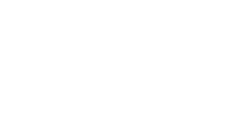 Berg-Hausservice-Logo-Weiss-1000